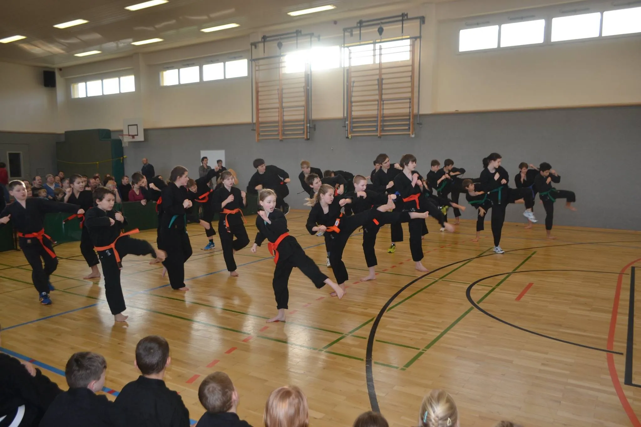 Galeriebild zu Rekord-Gürtelprüfung mit über 300 Gästen