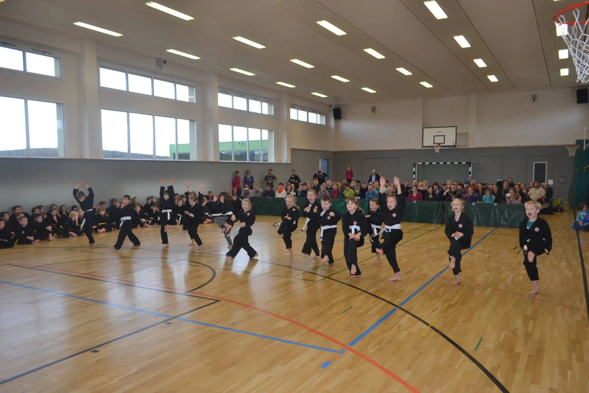 Galeriebild zu Rekord-Gürtelprüfung mit über 300 Gästen