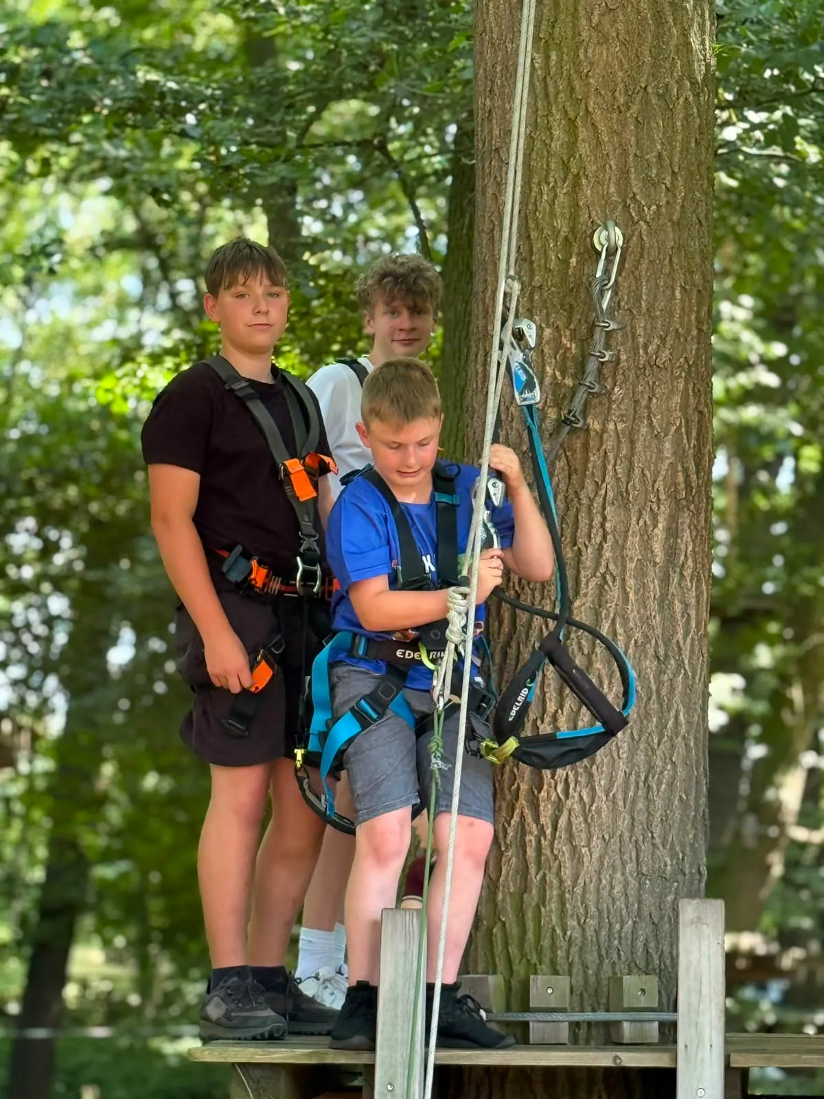 Galeriebild zu Kinder- und Jugendvereinsausflug 2026: Mut, Höhenrausch & Teamgeist im Kletterwald