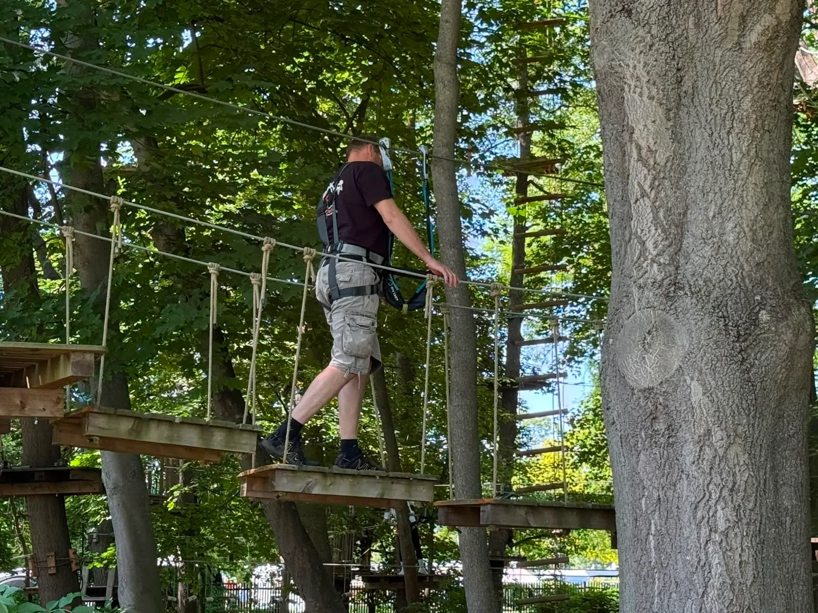 Galeriebild zu Kinder- und Jugendvereinsausflug 2026: Mut, Höhenrausch & Teamgeist im Kletterwald