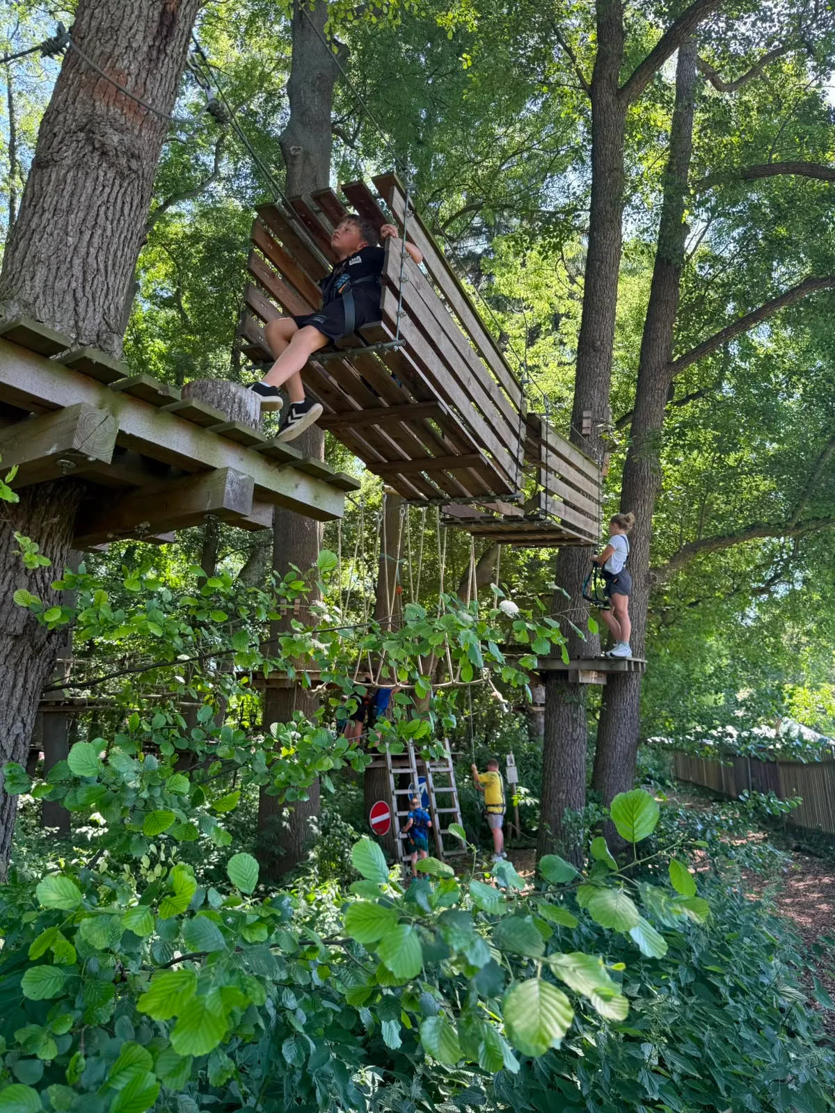 Galeriebild zu Kinder- und Jugendvereinsausflug 2026: Mut, Höhenrausch & Teamgeist im Kletterwald