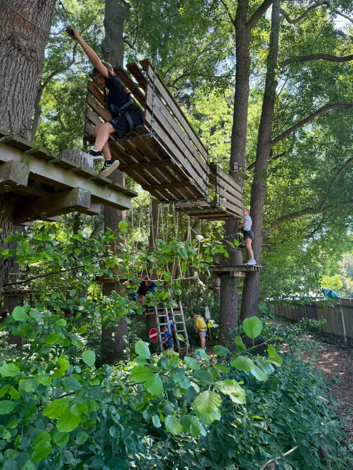 Galeriebild zu Kinder- und Jugendvereinsausflug 2026: Mut, Höhenrausch & Teamgeist im Kletterwald