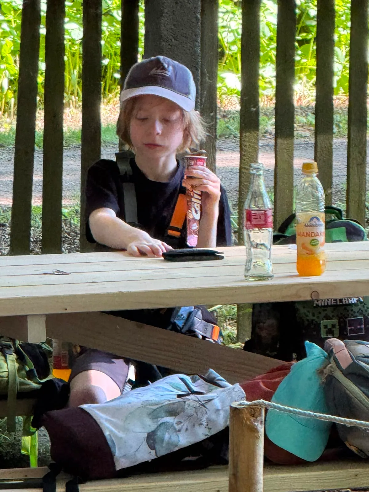 Galeriebild zu Kinder- und Jugendvereinsausflug 2026: Mut, Höhenrausch & Teamgeist im Kletterwald