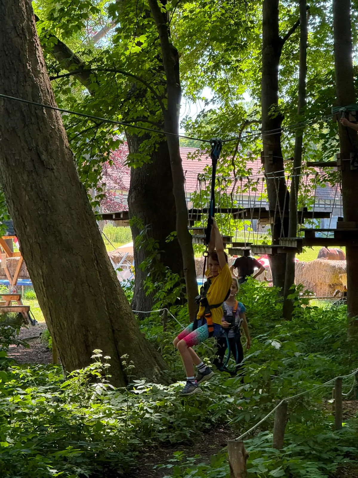 Galeriebild zu Kinder- und Jugendvereinsausflug 2026: Mut, Höhenrausch & Teamgeist im Kletterwald