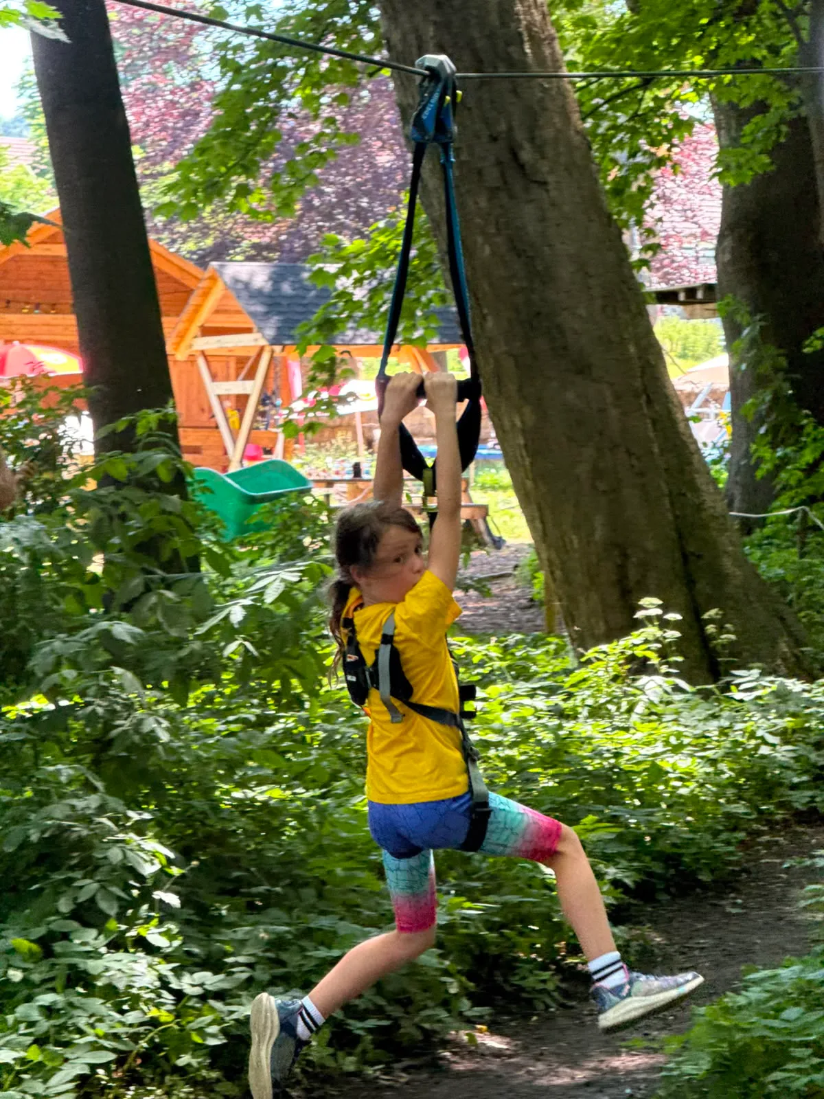 Galeriebild zu Kinder- und Jugendvereinsausflug 2026: Mut, Höhenrausch & Teamgeist im Kletterwald